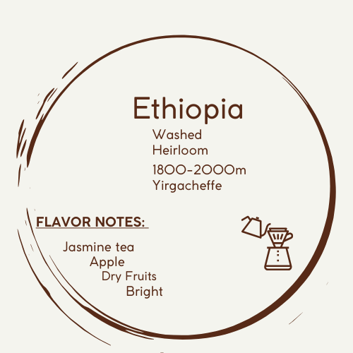 Roasted Coffee Beans - Ethiopia Worka Kubi