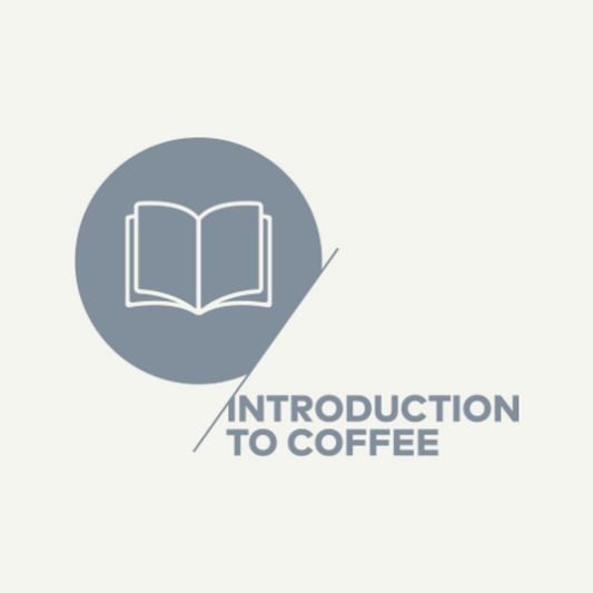 Coffee Trainings - CSP Introduction To Coffee - Rista Barista Roastery